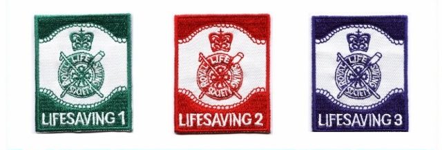 lifesaving 123 course