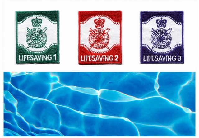 LS123-course-and-badge